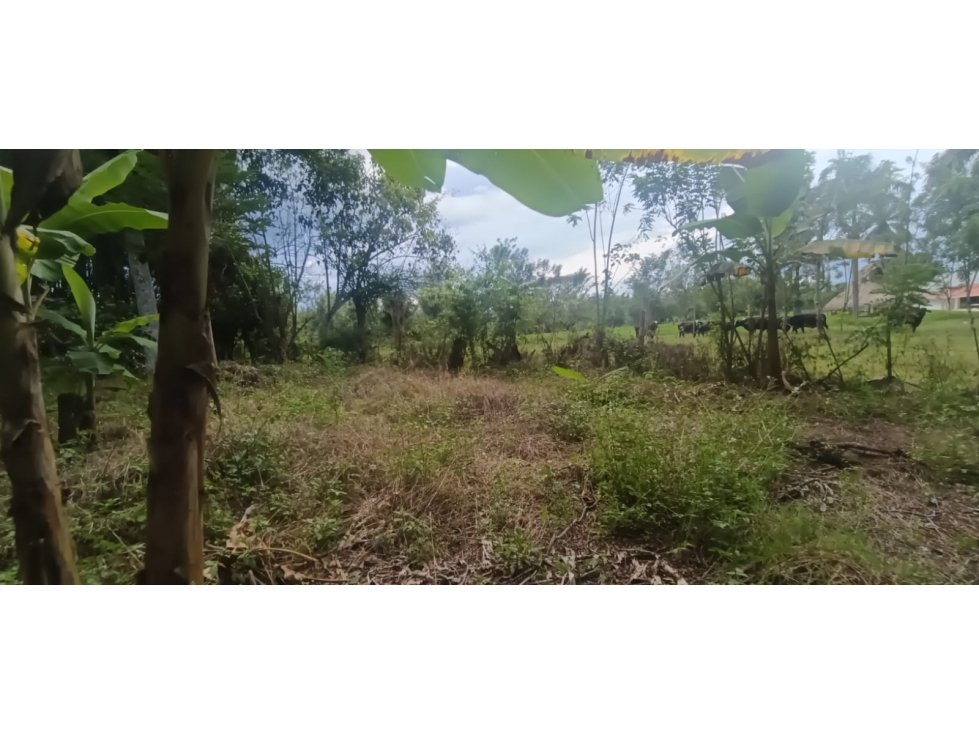 Se Vende Lote S. Via Puerto Espejo - Pueblo Tapao — foto 4