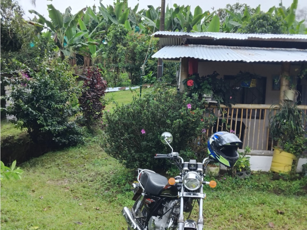 Se Vende Finca En Cordoba - Quindío