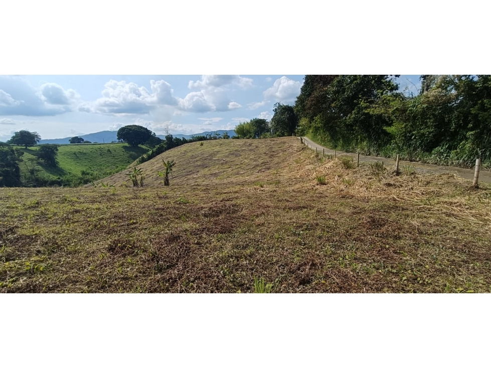 Se Vende Lote Vía Montenegro - Quimbaya - Quindío — foto 4
