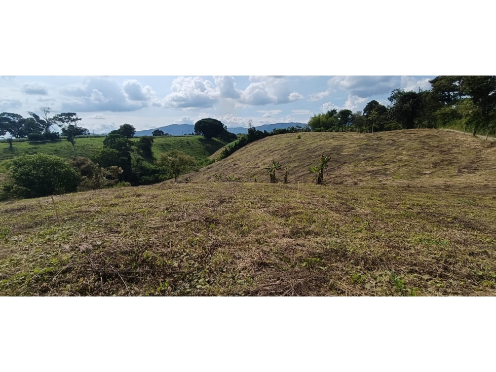 Se Vende Lote Vía Montenegro - Quimbaya - Quindío — foto 4