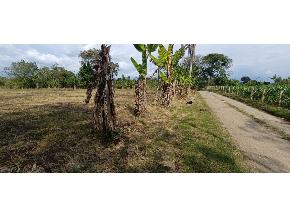 Se Vende Lote Vía Montenegro - Quimbaya - Quindío — foto 6