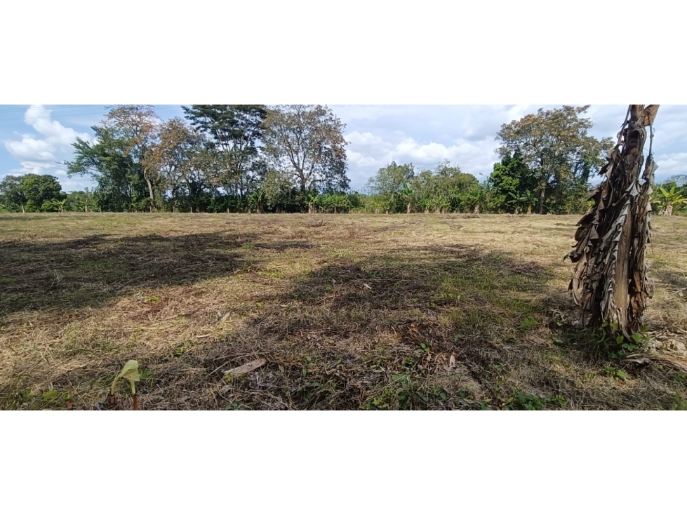 Se Vende Lote Vía Montenegro - Quimbaya - Quindío — foto 2