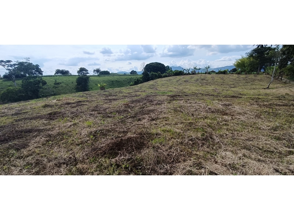 Se Vende Lote Vía Montenegro - Quimbaya - Quindío — foto 3