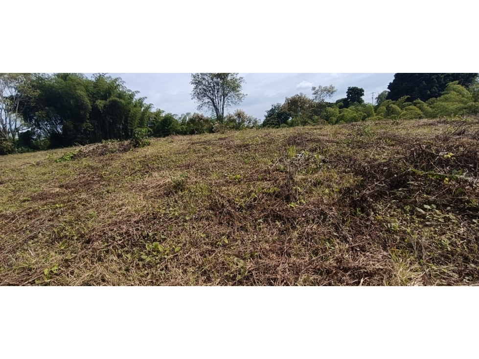 Se Vende Lote Vía Montenegro - Quimbaya - Quindío — foto 3