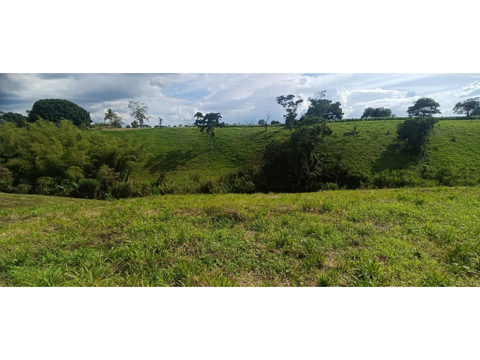 Se Vende Lote Vía Montenegro - Quimbaya - Quindío — foto 4