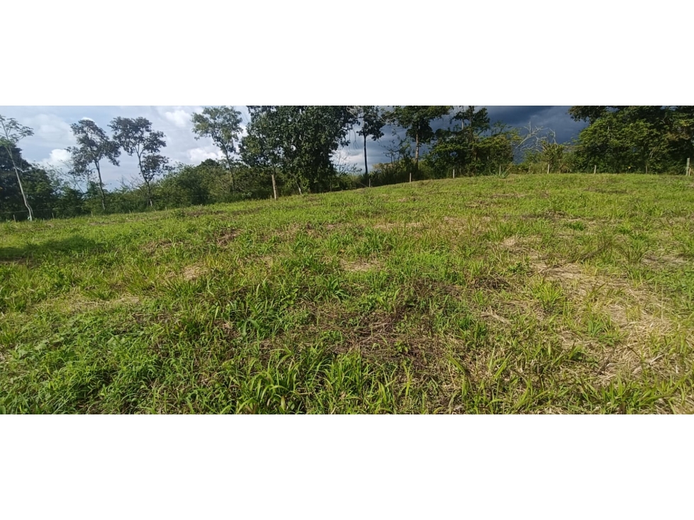 Se Vende Lote Vía Montenegro - Quimbaya - Quindío — foto 5