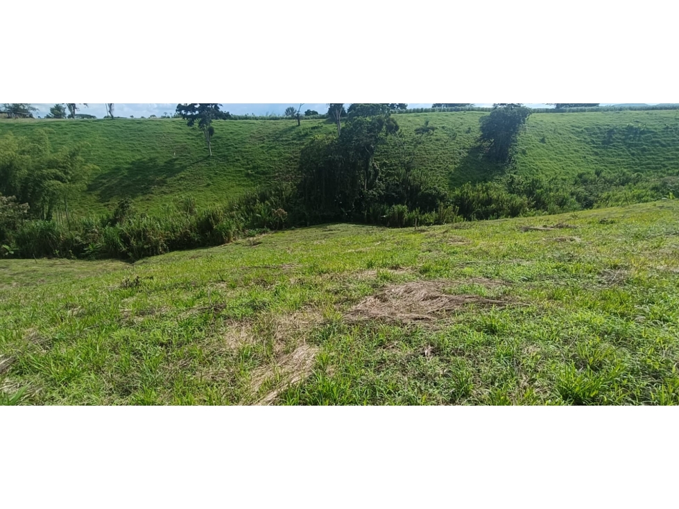Se Vende Lote Vía Montenegro - Quimbaya - Quindío — foto 4