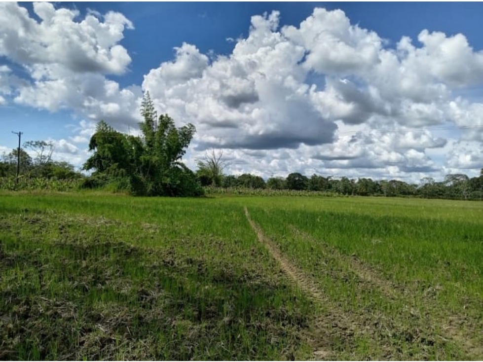 Se Vende Finca En Fuente de oro - Meta - 3