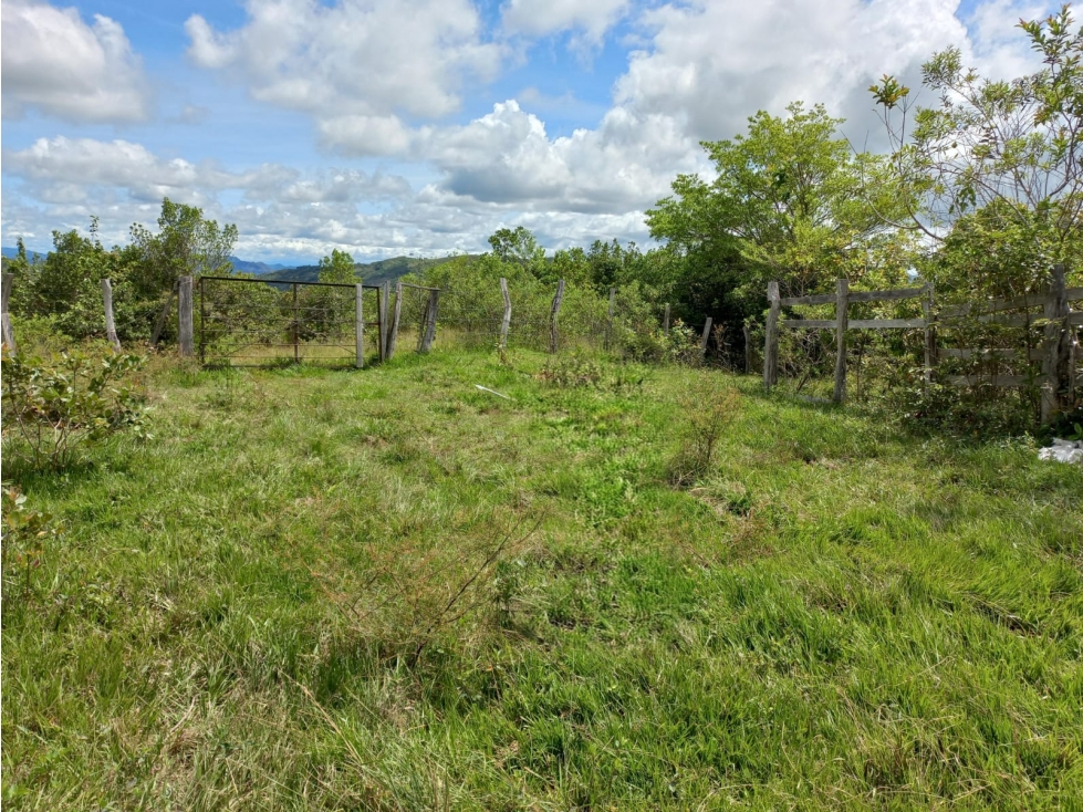 Se Vende Finca en San Luis - Ibague - 4