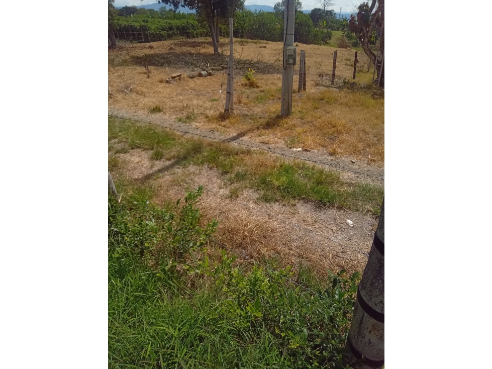 Se Vende Lote en Quimbaya - Quindío. — foto 4