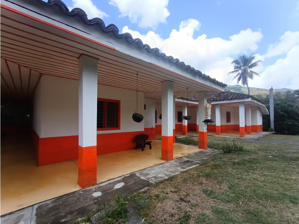 Se vende Finca Ansermanuevo Valle del Cauca - 3