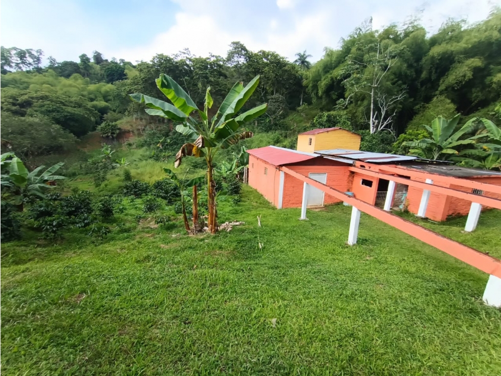 Venta Finca en Buenavista de 17 cuadras - 4