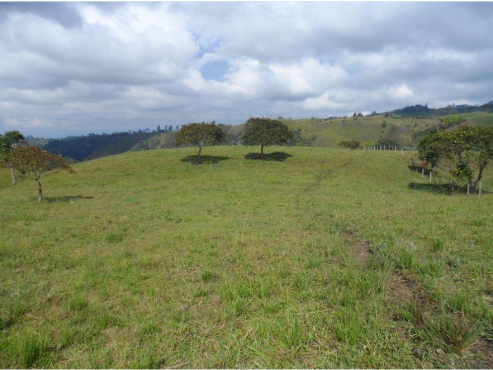 Se vende Finca en El Congal Circasia - Quindío — foto 5