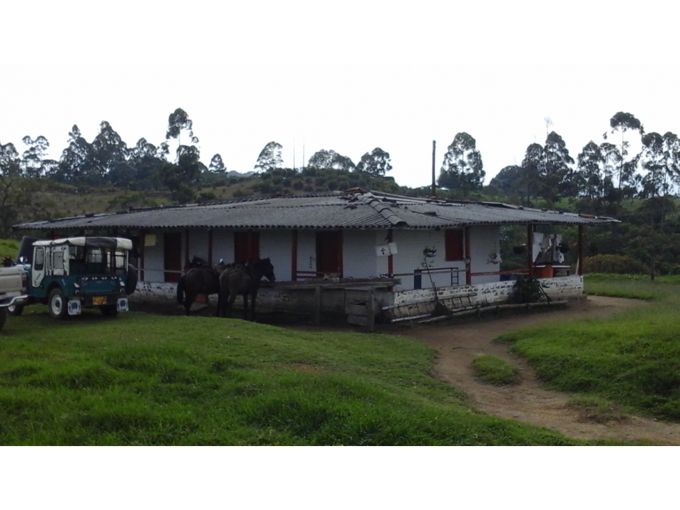 Se vende Finca en El Congal Circasia - Quindío