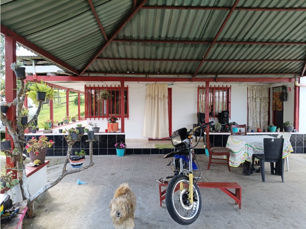 Se vende Finca S. La Cristalina Circasia Quindío — foto 2
