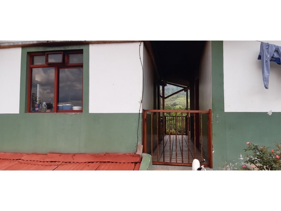 Se Vende Finca Cafetera Calarcá Quindío - 2