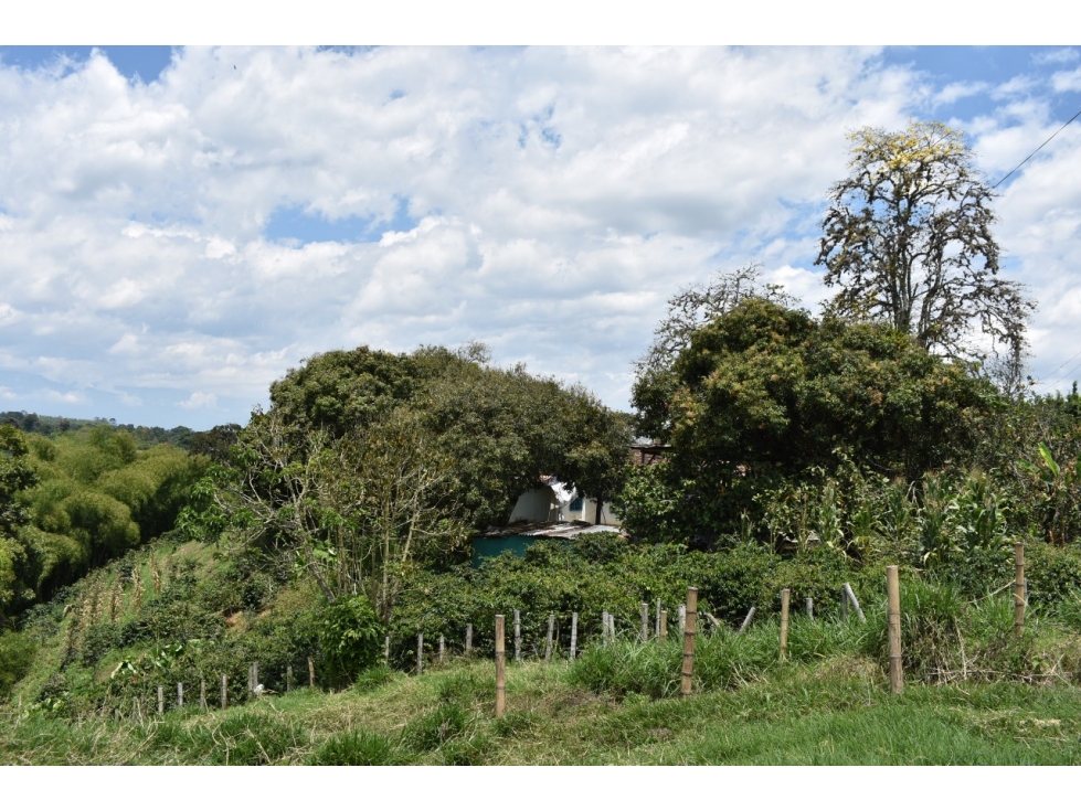 Se vende Lote en Quimbaya Quindío - 5