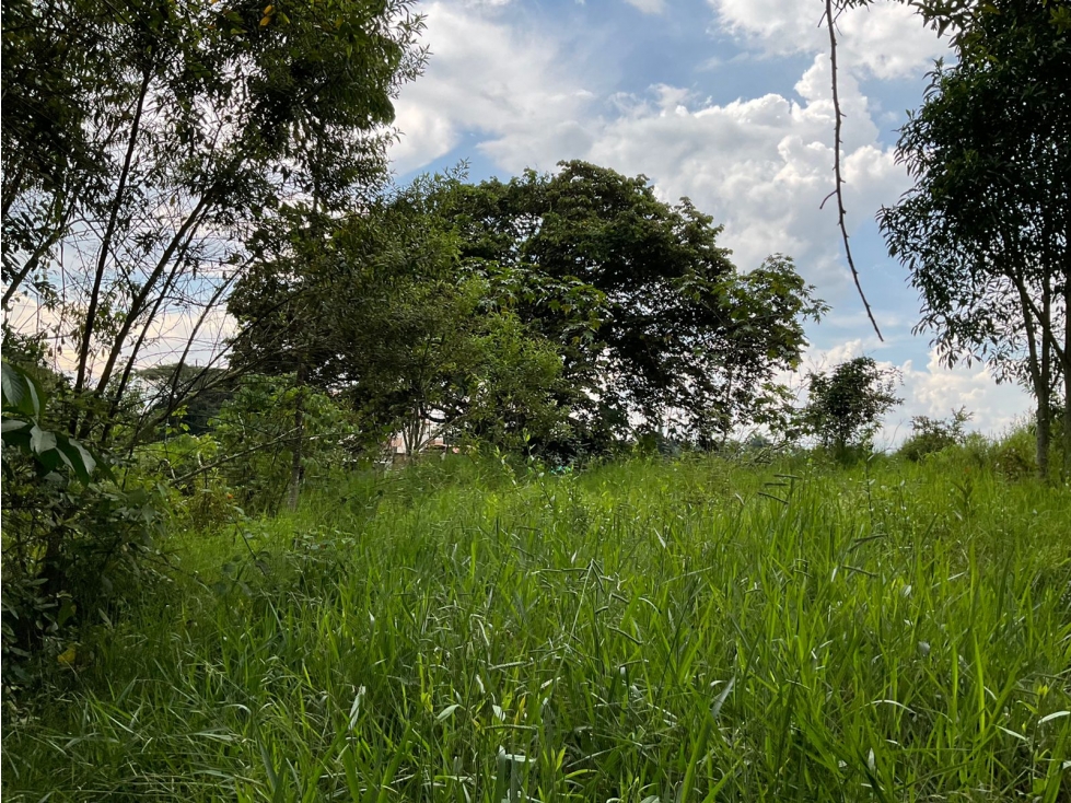 Se vende Lote en La Y de Calarcá - Armenia Quindío - 5