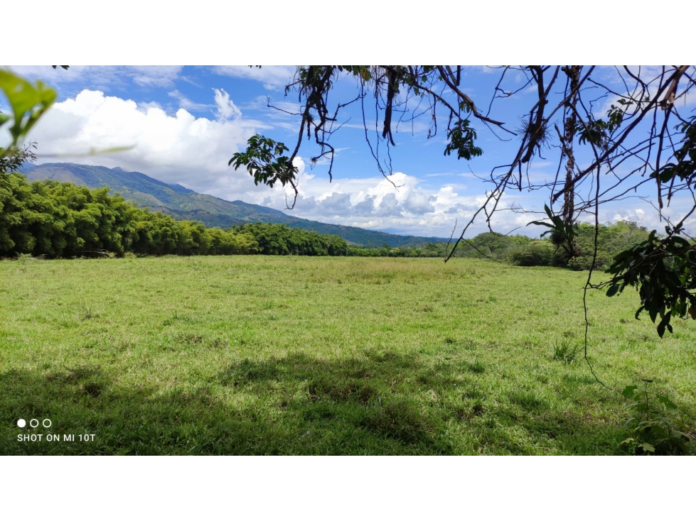 Se vende Lote Jamundí Valle del Cauca - 4