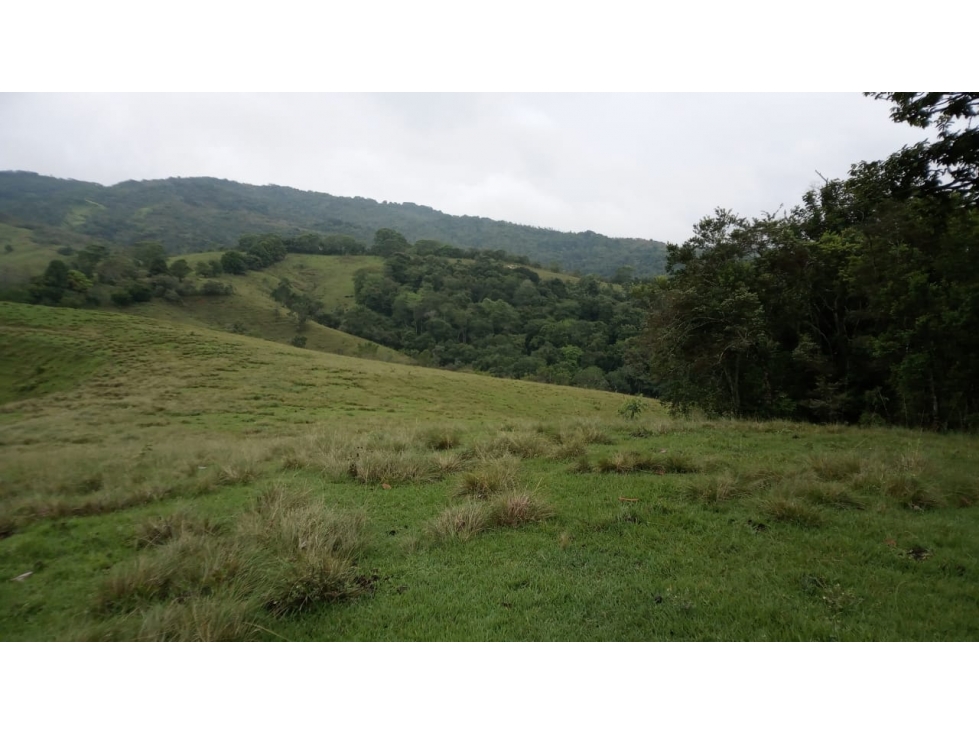 Se vende Finca Trujillo - Valle del Cauca - 5