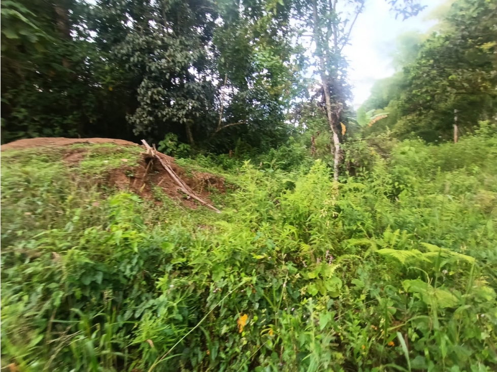 Se Vende Lote En Salento Quindío — foto 2