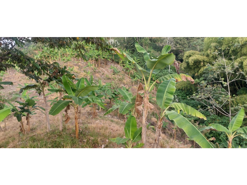 Se vende Finca Sardineros Córdoba — foto 5