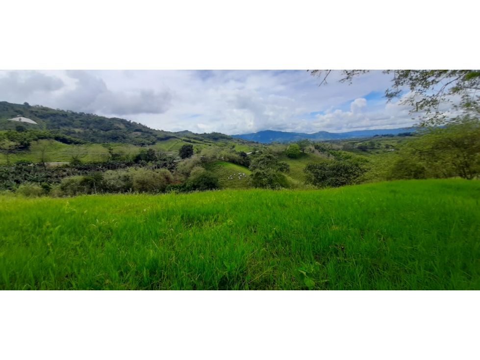 Se Vende Finca Ganadera Entre Barragan - Río Verde. — foto 5