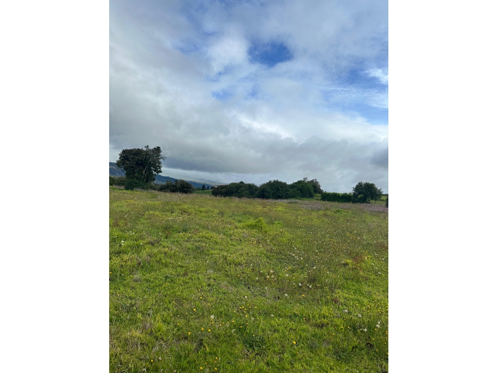 Se Vende Finca En Boyaca - 6