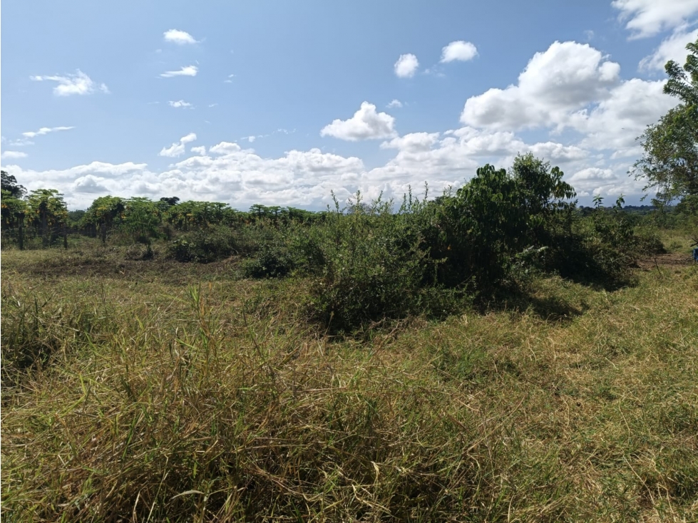 Se Vende Lote En Montenegro — foto 5