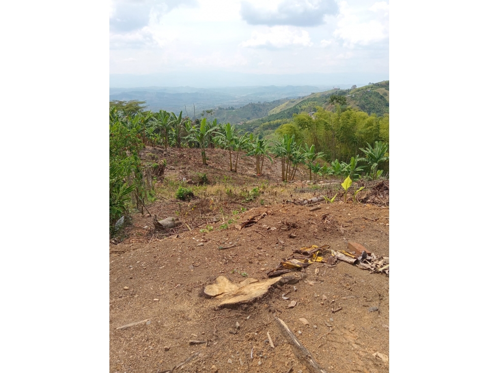 Se Vende Finca En Sevilla - Valle Del Cauca - 5