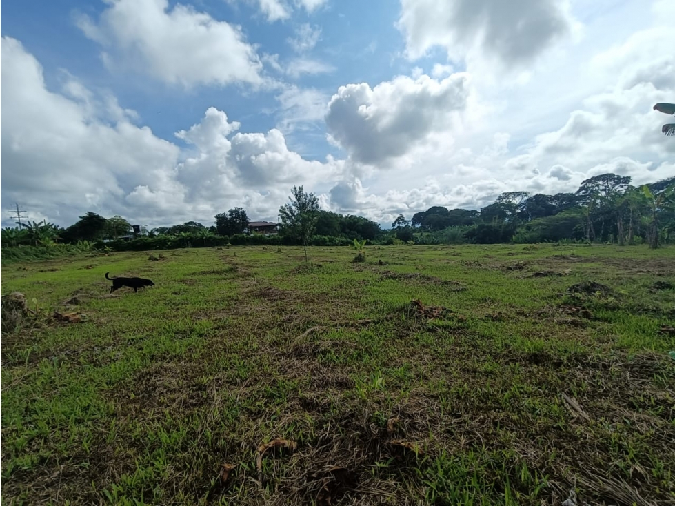 Se Vende Lote Via Puerto Espejo - Pueblo Tapao - Quindío. — foto 5