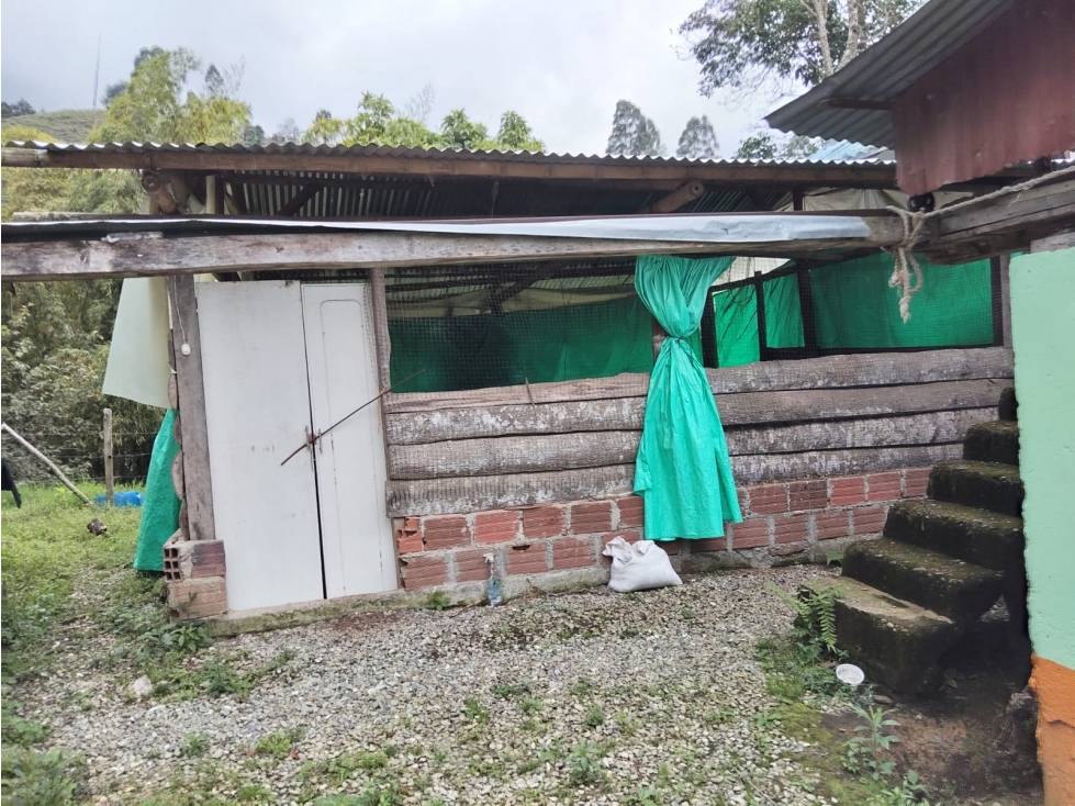Se Vende Finca En Cordoba - Quindío - 2