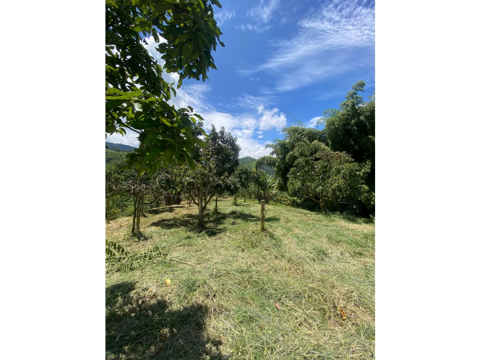 Se Venden Lotes En Santa Rosa De Cabal - Risaralda - 6