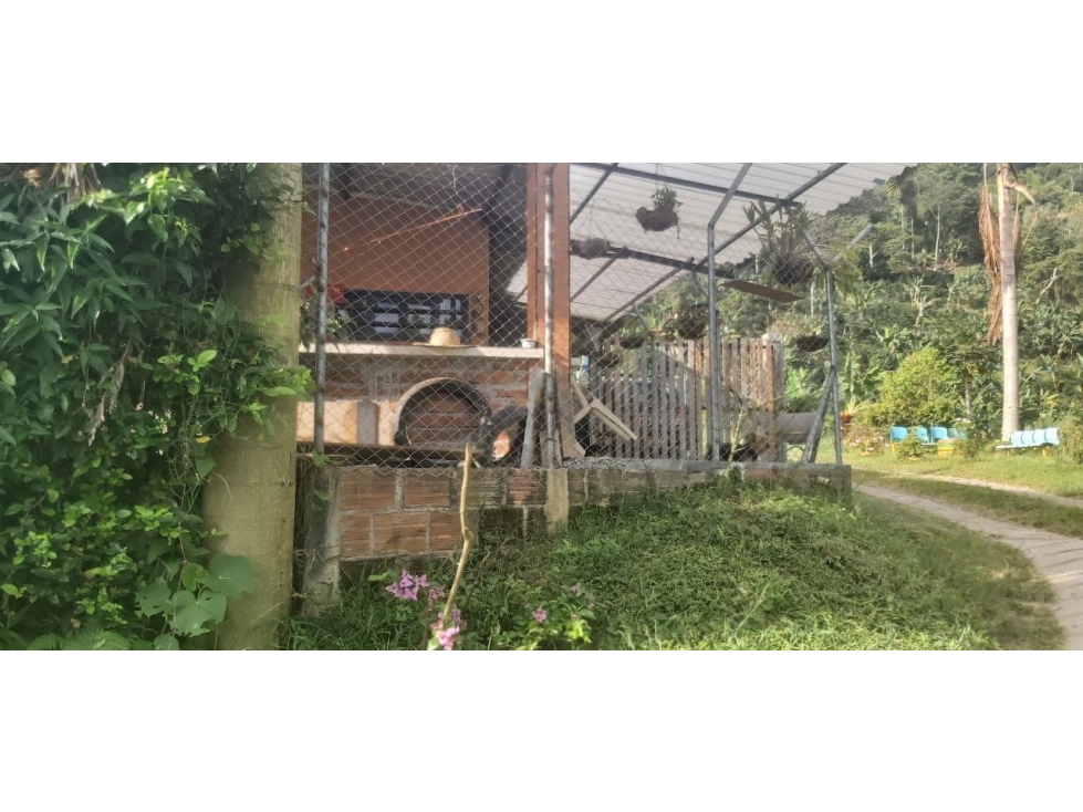 Se Vende Finca En Cordoba - Quindío - 4