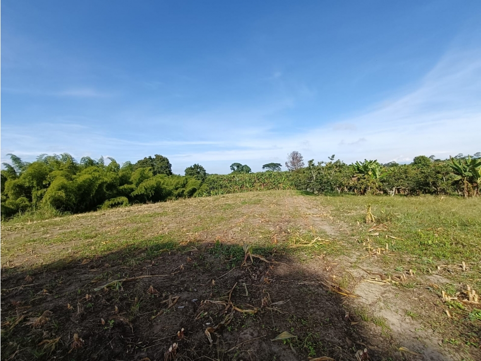 Se Vende Lote Vía Montenegro - La Tebaida - Quindío — foto 5