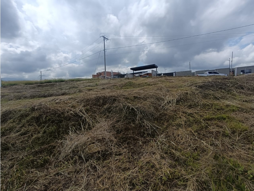 Se Vende Lote En Hojas Anchas - Armenia - Quindío — foto 5
