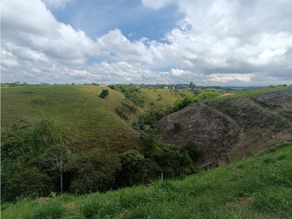 Se Vende Lote En Hojas Anchas - Armenia - Quindío — foto 5