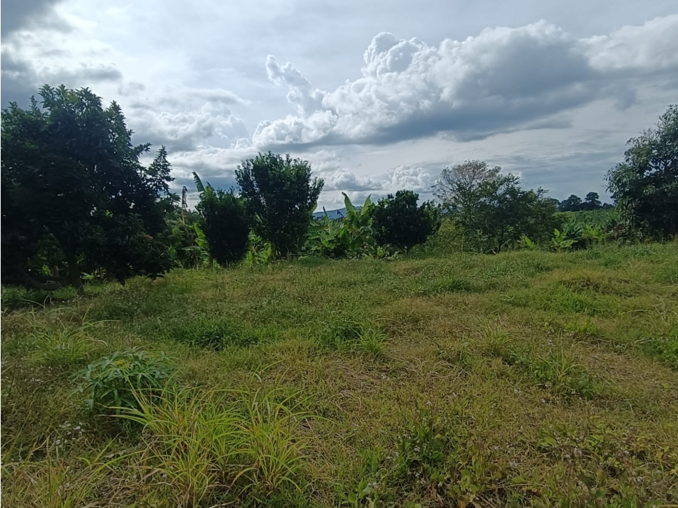 Se Vende Lote En Pueblo Tapao - Quindío — foto 5