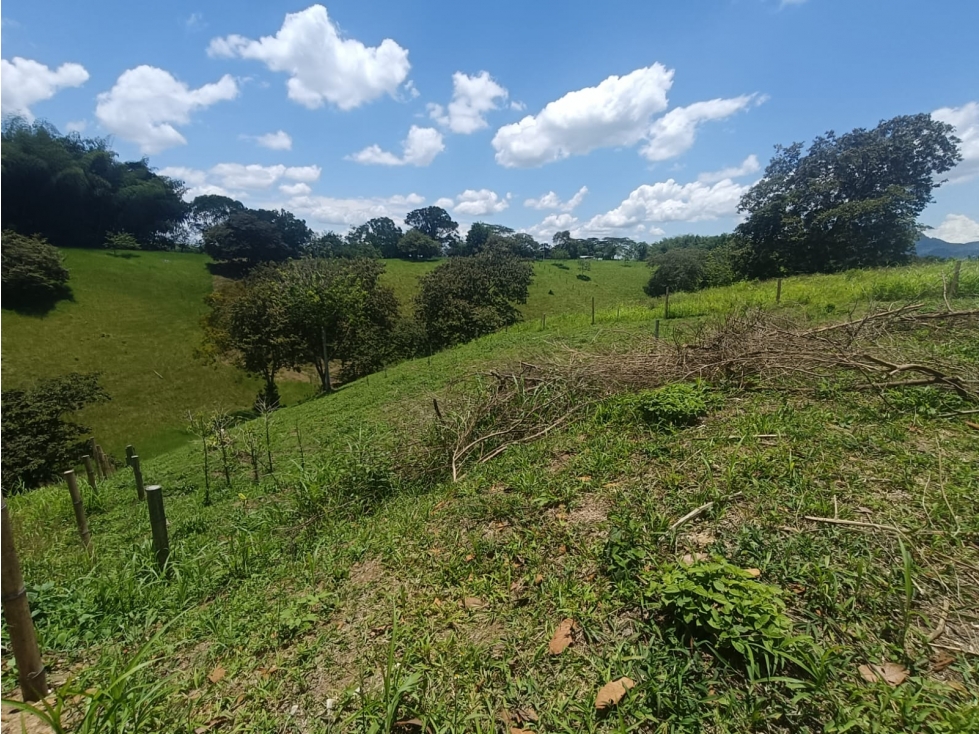 Se Vende Lote En Quimbaya - Quindío - 5