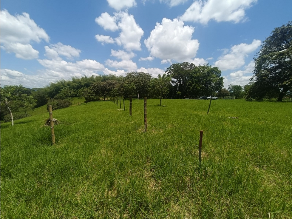 Se Vende Lote En Quimbaya - Quindío - 5