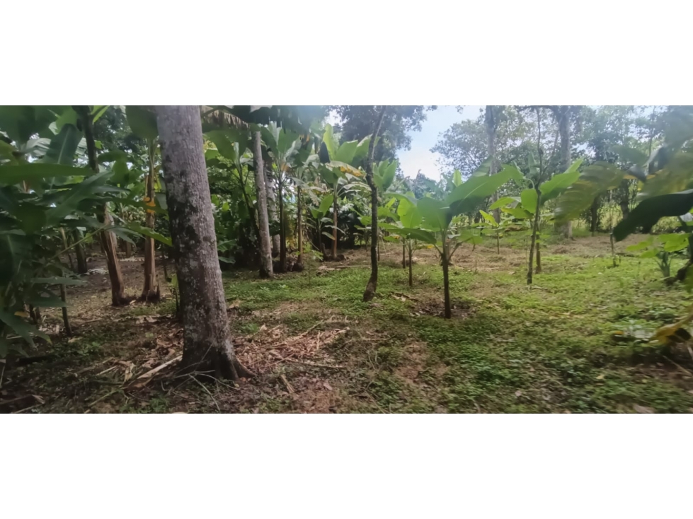 Se Vende Lote S. Via Puerto Espejo - Pueblo Tapao — foto 5