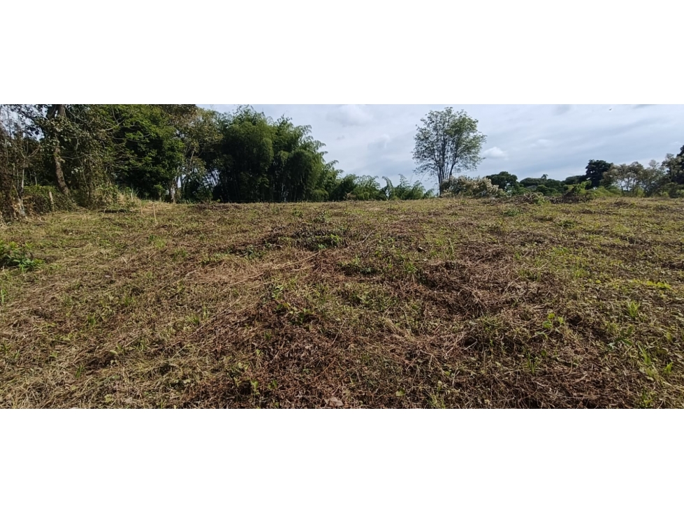 Se Vende Lote Vía Montenegro - Quimbaya - Quindío — foto 2