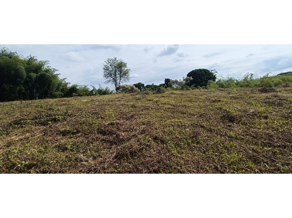 Se Vende Lote Vía Montenegro - Quimbaya - Quindío — foto 5