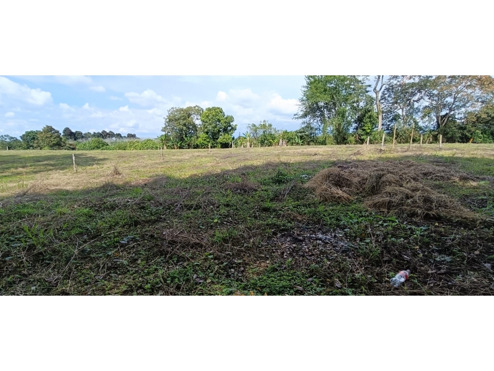 Se Vende Lote Vía Montenegro - Quimbaya - Quindío