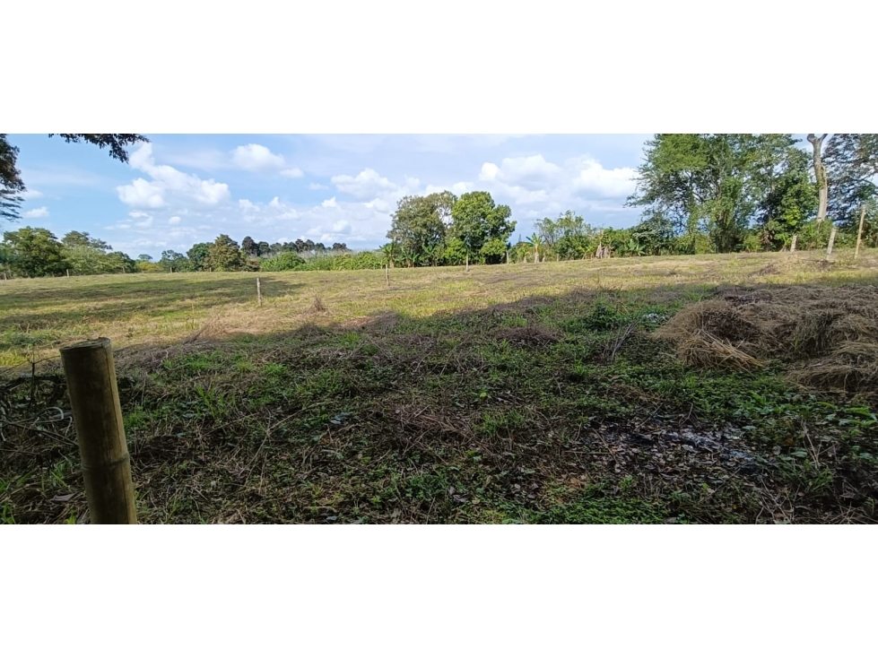 Se Vende Lote Vía Montenegro - Quimbaya - Quindío — foto 4