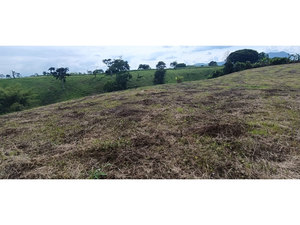 Se Vende Lote Vía Montenegro - Quimbaya - Quindío — foto 4