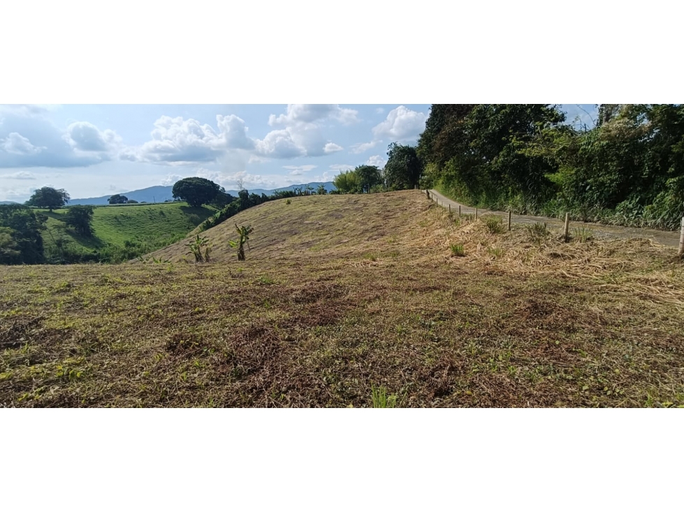 Se Vende Lote Vía Montenegro - Quimbaya - Quindío — foto 4