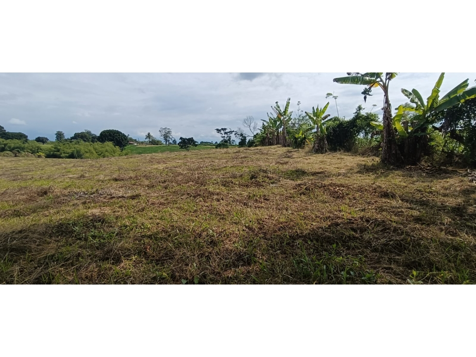 Se Vende Lote Vía Montenegro - Quimbaya - Quindío