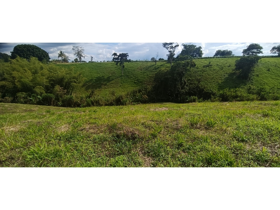 Se Vende Lote Vía Montenegro - Quimbaya - Quindío — foto 5