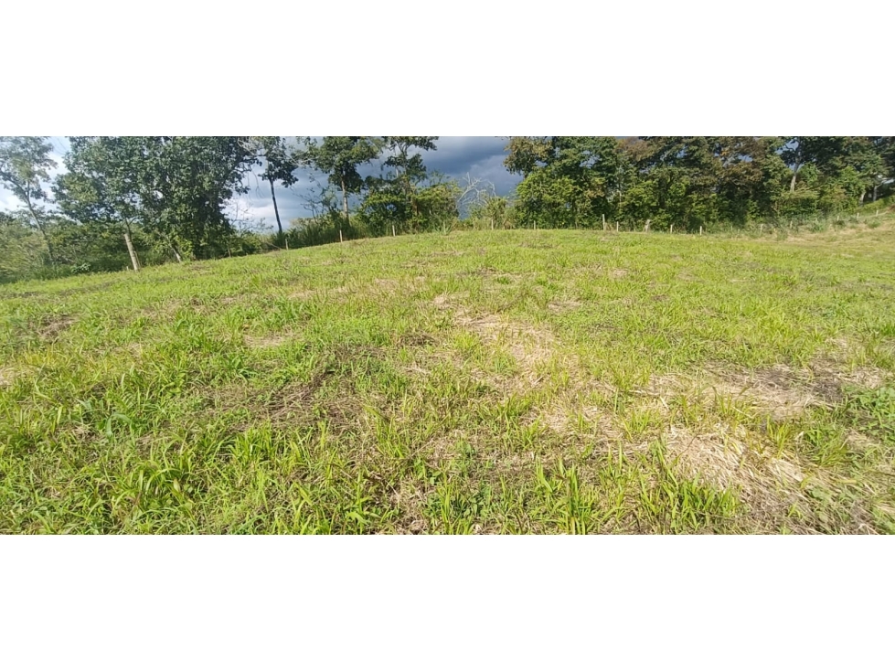 Se Vende Lote Vía Montenegro - Quimbaya - Quindío — foto 6